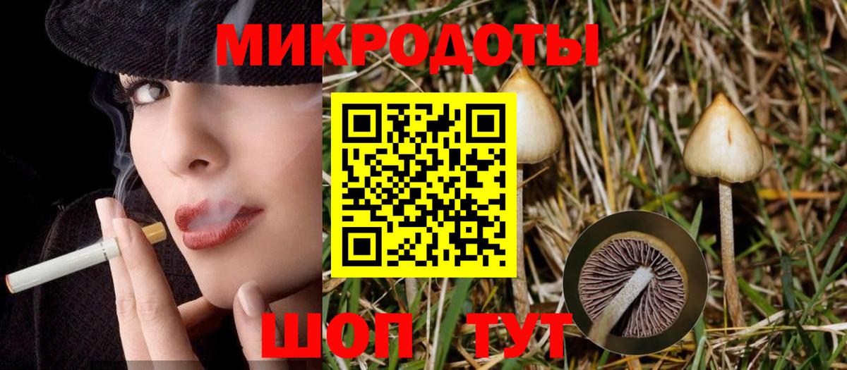 Псилоцибиновые грибы мицелий  Вход с VPN  Дзержинск 