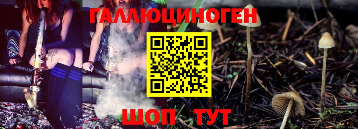 Псилоцибиновые грибы Magic Shrooms Дзержинск